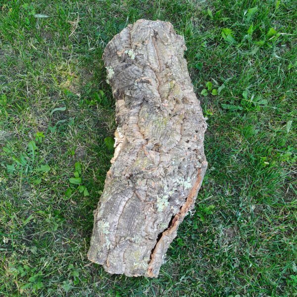Върджин корк – корк за терариуми и декорация N1 - 65см x Ø(23-18)см, 1400гр.