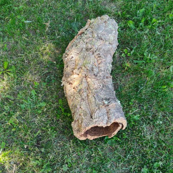 Върджин корк – корк за терариуми и декорация N1 - 65см x Ø(23-18)см, 1400гр.
