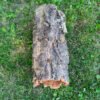 Върджин корк – корк за терариуми и декорация N4 - 55см x Ø20см, 2300гр.
