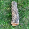 Върджин корк – корк за терариуми и декорация N5 - 68см x Ø20-18см, 1500гр.