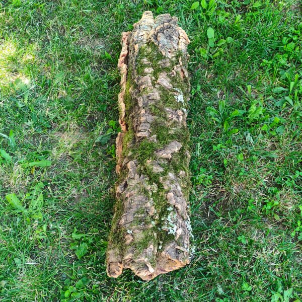 Върджин корк – корк за терариуми и декорация N6 - 85см x Ø20-15см, 1300гр.