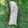 Върджин корк – корк за терариуми и декорация N7 - 75см x Ø23-20см, 1750гр.