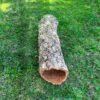 Върджин корк – корк за терариуми и декорация N8 - 105см x Ø30-20см, 3200гр.