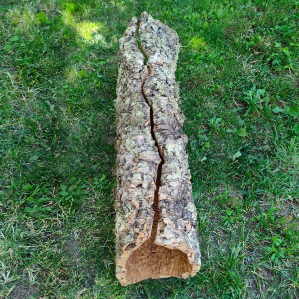 Върджин корк – корк за терариуми и декорация N8 - 105см x Ø30-20см, 3200гр.
