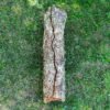 Върджин корк – корк за терариуми и декорация N8 - 105см x Ø30-20см, 3200гр.